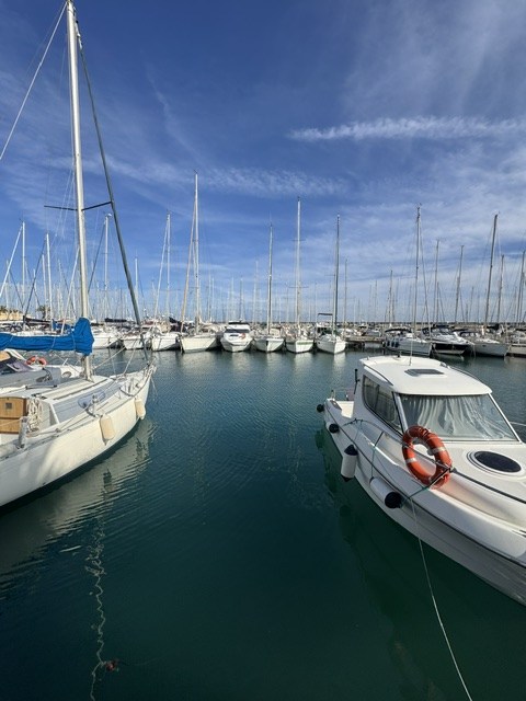 Foto annuncio 6