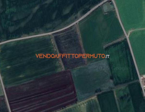 Immagine 11 di Terreno agricolo in vendita  in VIA CAMPO RAMPINO a Covo