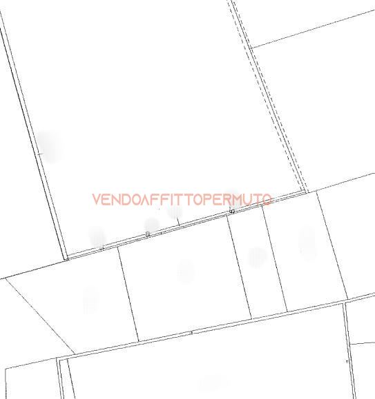 Immagine 10 di Terreno agricolo in vendita  in VIA CAMPO RAMPINO a Covo