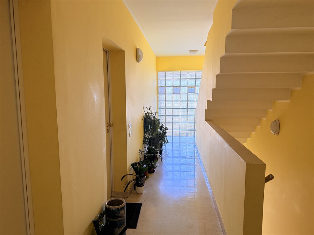 Foto annuncio 6