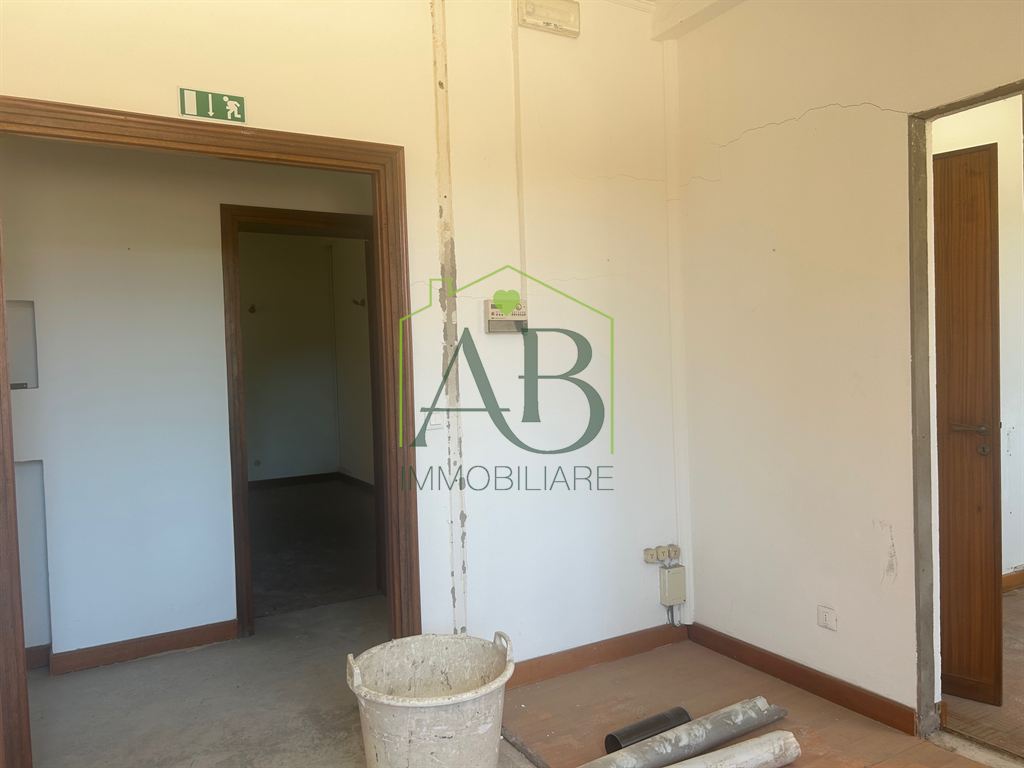 Foto annuncio 5
