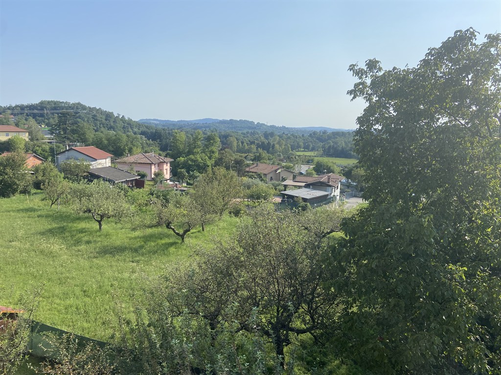 Foto annuncio 6