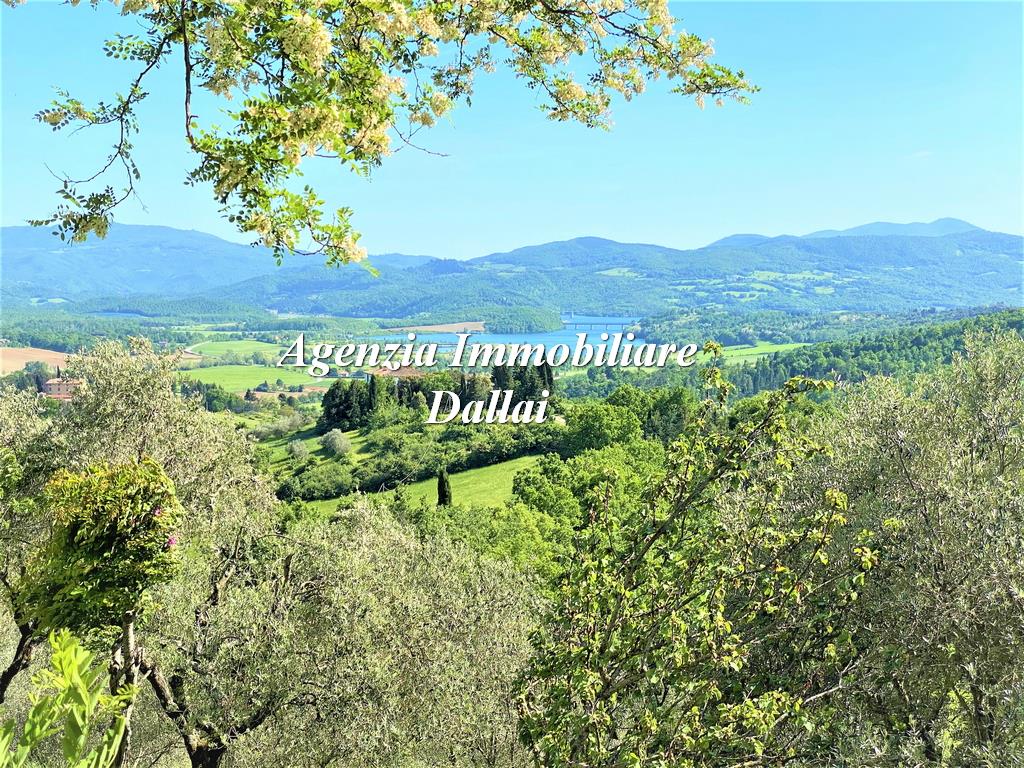 Immagine 13 di Rustico / casale in vendita  in Piazza Cavour a Barberino Di Mugello