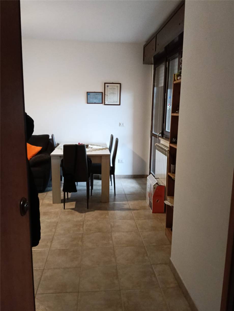 Foto annuncio 12