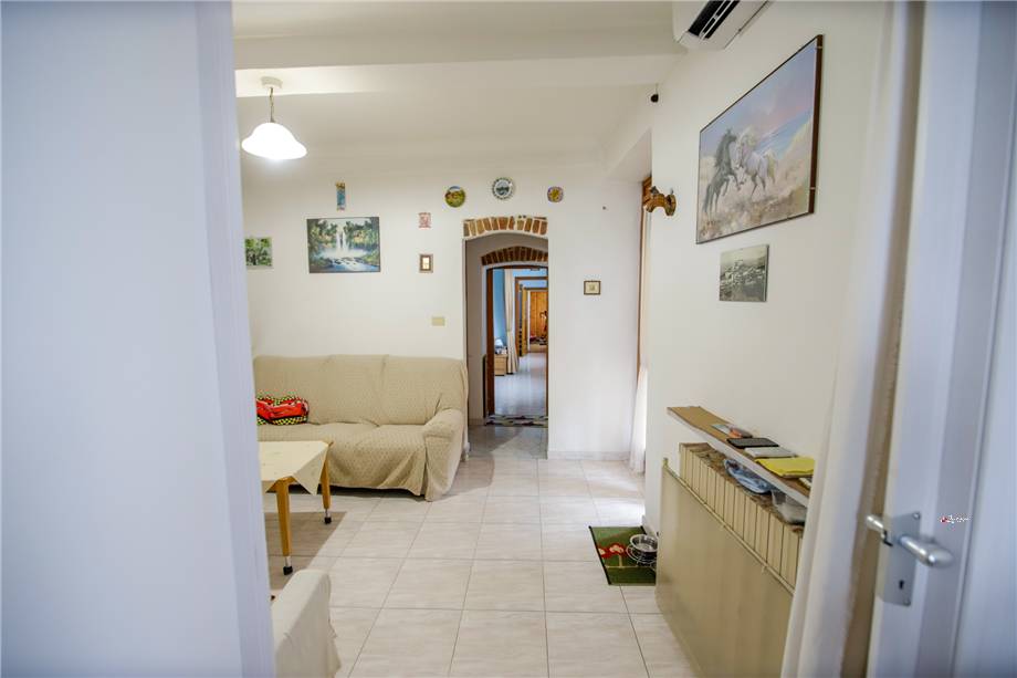 Foto annuncio 9