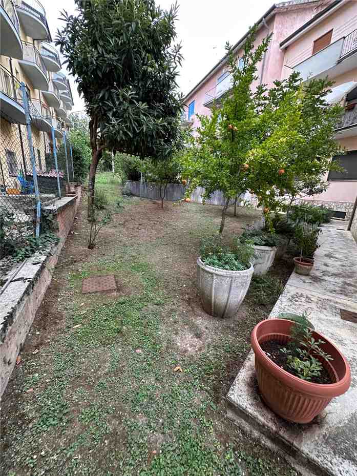 Foto annuncio 3