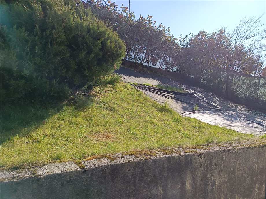 Foto annuncio 18