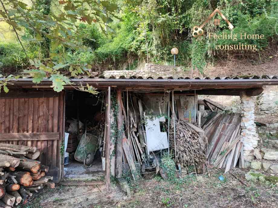 Foto annuncio 28