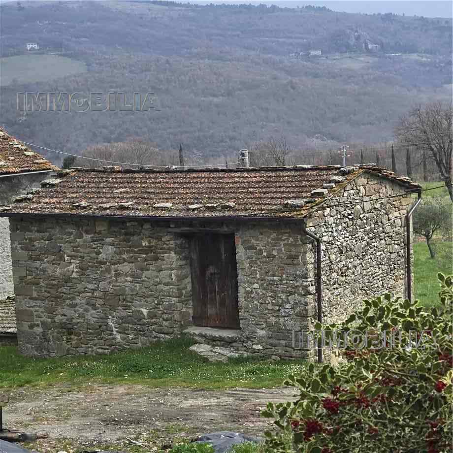 Foto annuncio 31