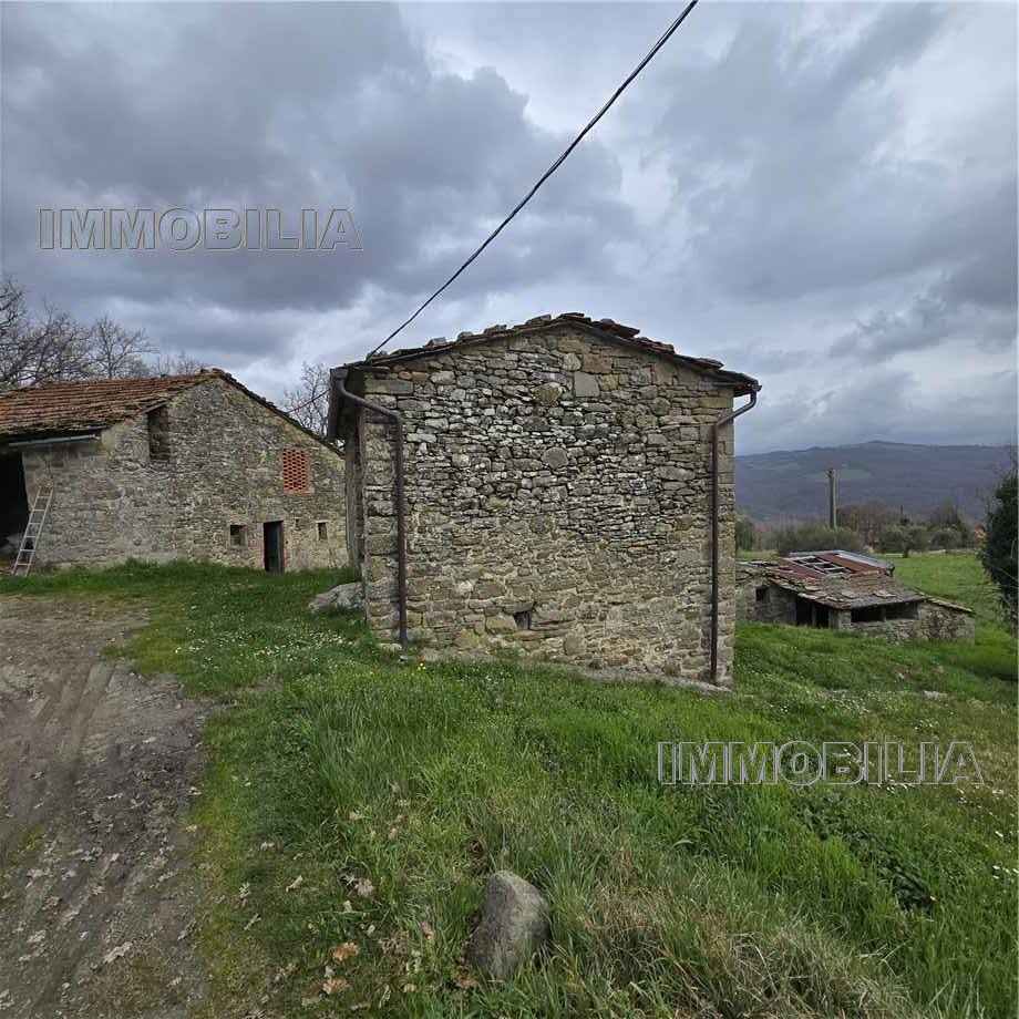Foto annuncio 33
