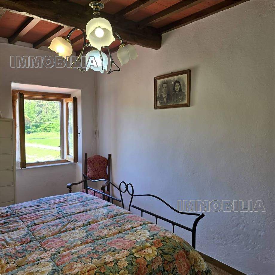 Foto annuncio 9
