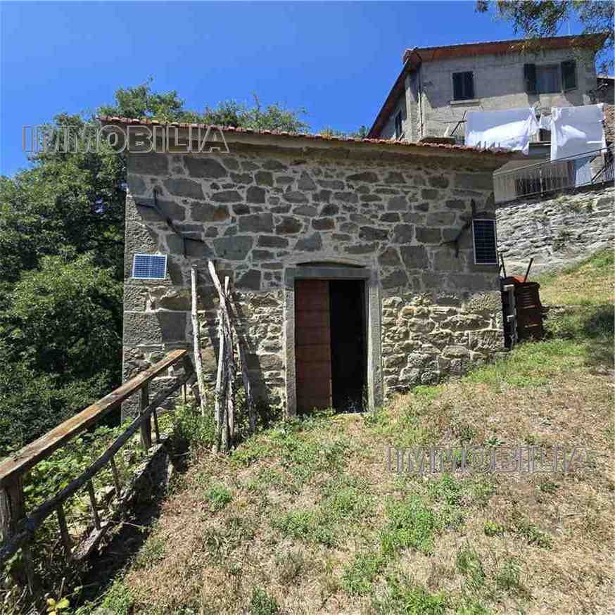 Foto annuncio 30