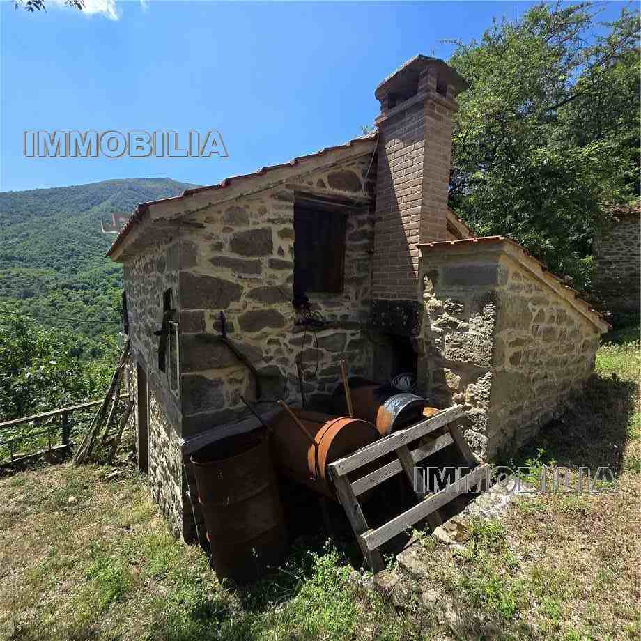 Foto annuncio 32
