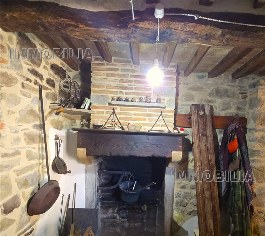 Foto annuncio 6