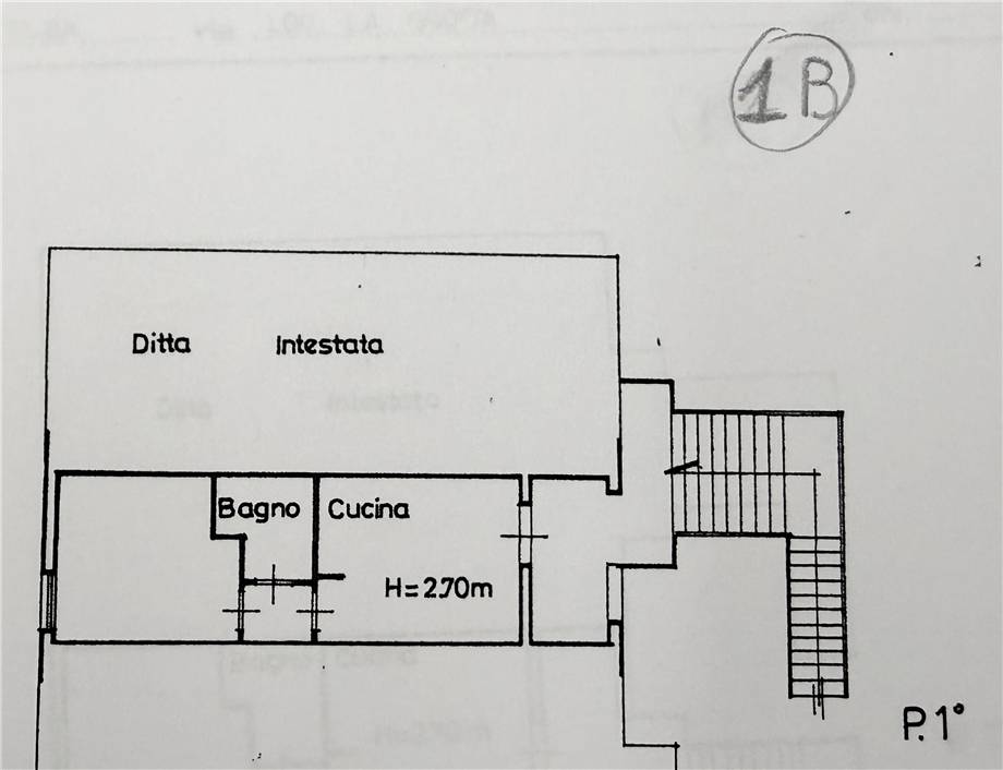 Foto annuncio 5