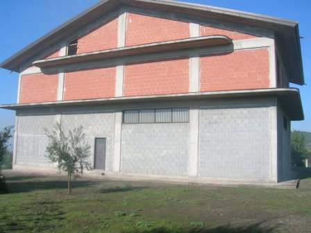 Foto annuncio 1