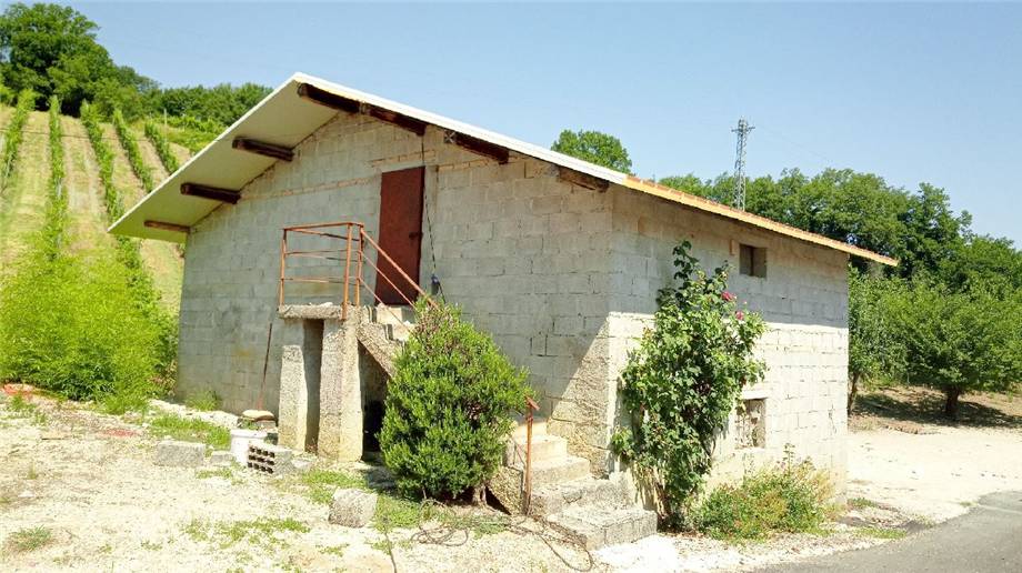 Foto annuncio 1