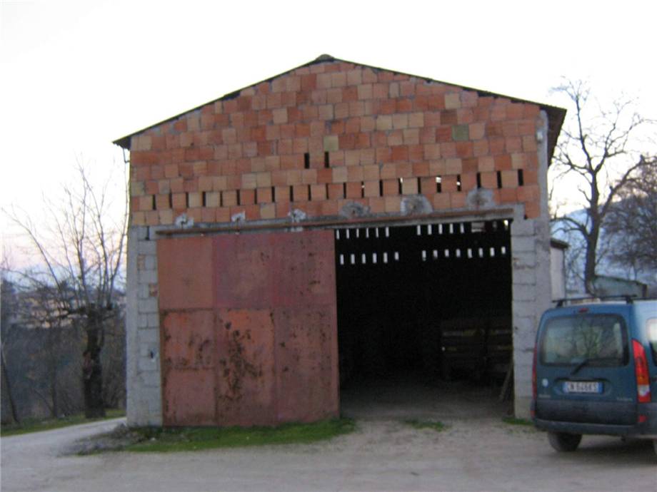 Foto annuncio 1