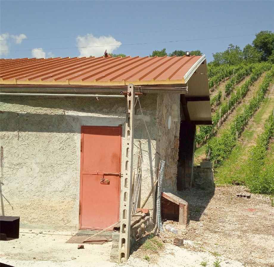 Foto annuncio 1
