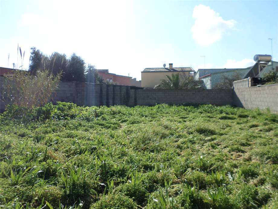 Foto annuncio 5