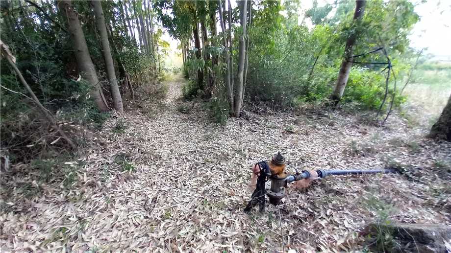 Foto annuncio 9