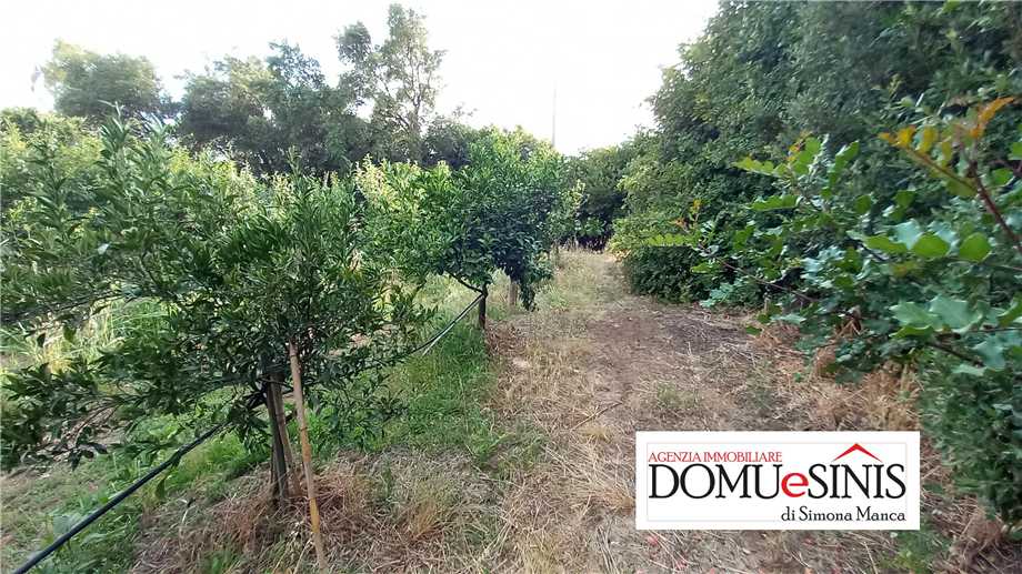 Foto annuncio 5