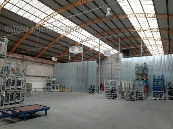 Foto annuncio 10
