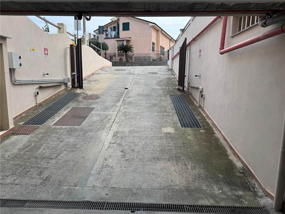 Foto annuncio 6