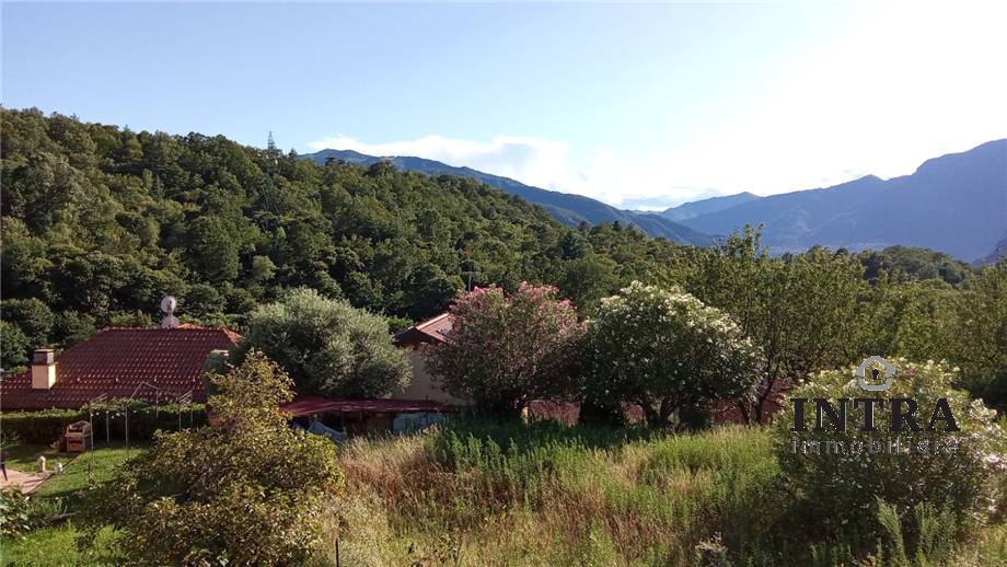 Foto annuncio 19