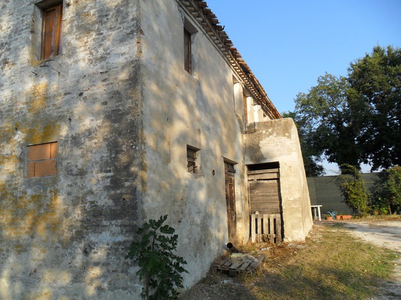 Immagine 2 di Casa indipendente in vendita  a Ostra Vetere