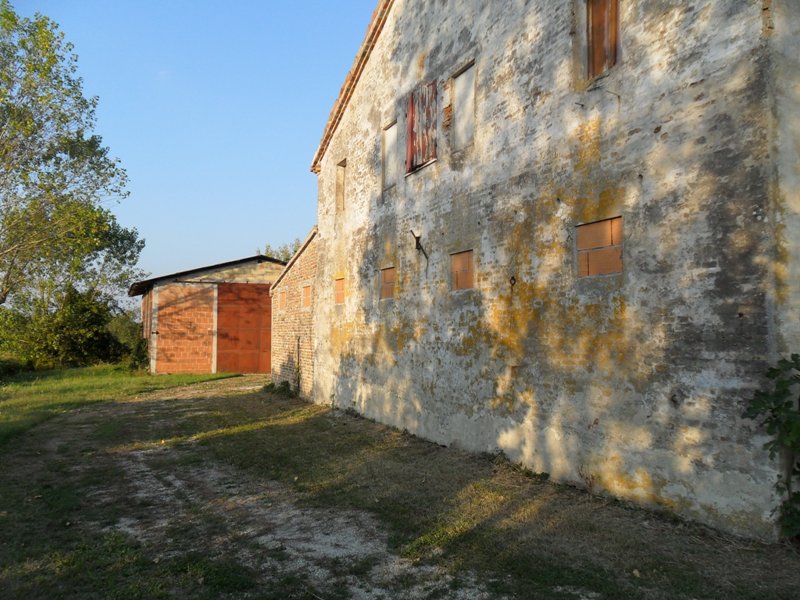 Immagine 3 di Casa indipendente in vendita  a Ostra Vetere