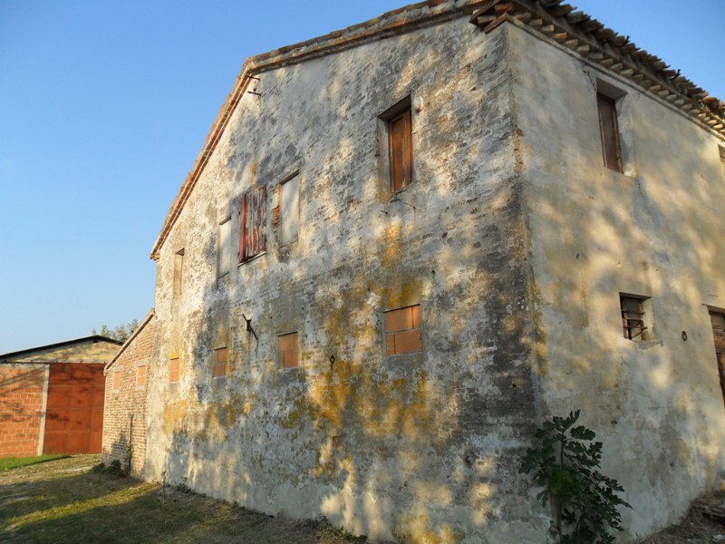 Immagine 4 di Casa indipendente in vendita  a Ostra Vetere
