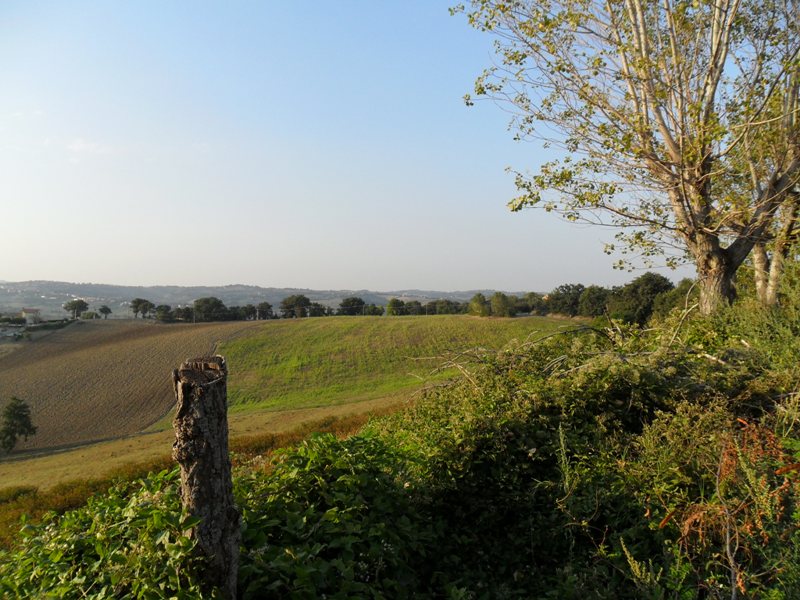 Immagine 5 di Casa indipendente in vendita  a Ostra Vetere