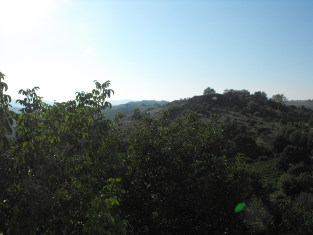 Immagine 14 di Casa indipendente in vendita  a Rosora