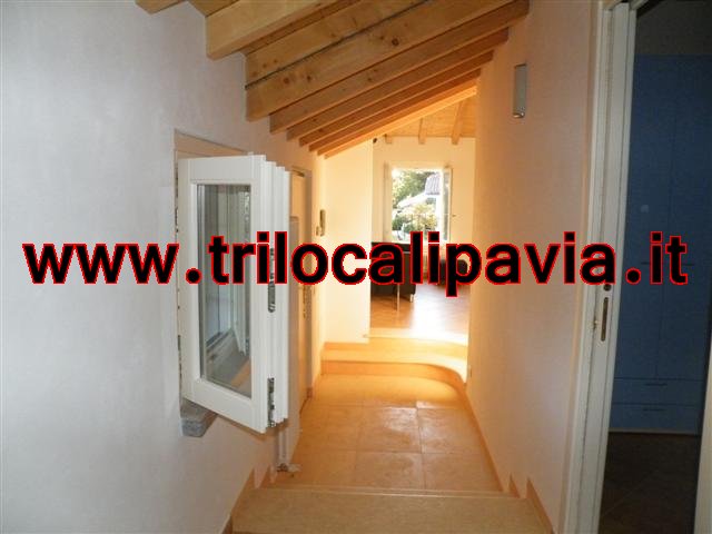 Foto annuncio 9