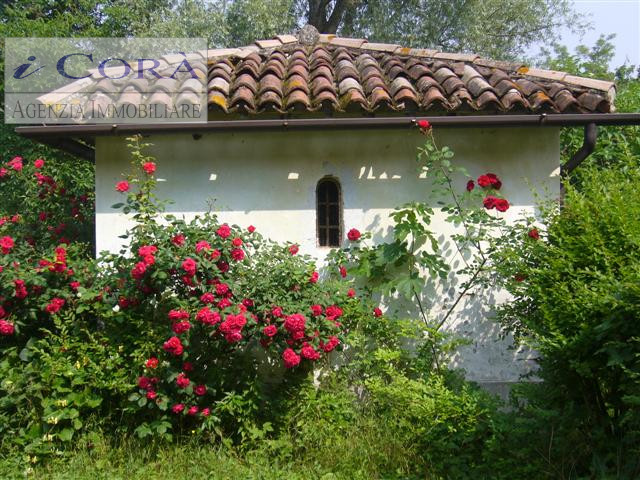 Immagine 3 di Rustico / casale in vendita  a Torreglia