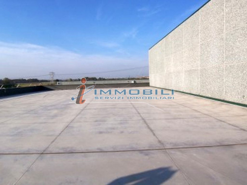 Immagine 7 di Capannone industriale in vendita  in VIA COPERNICO a Settimo Milanese