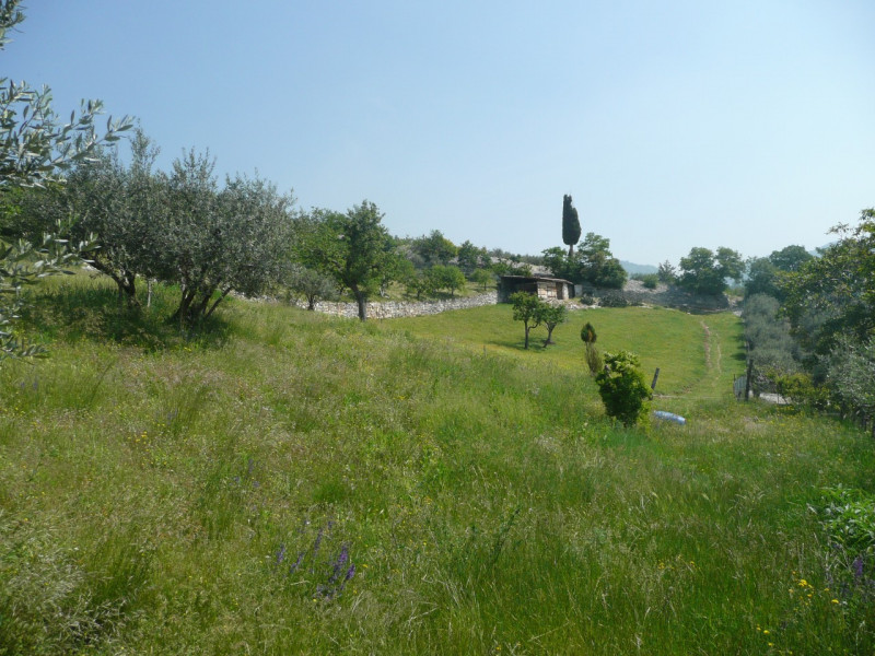 Immagine 2 di Terreno in vendita  a Tregnago