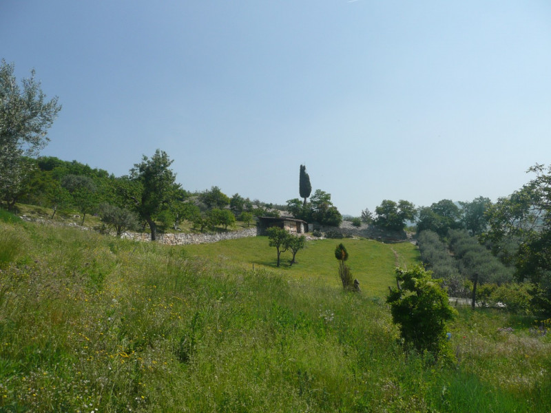 Immagine 3 di Terreno in vendita  a Tregnago