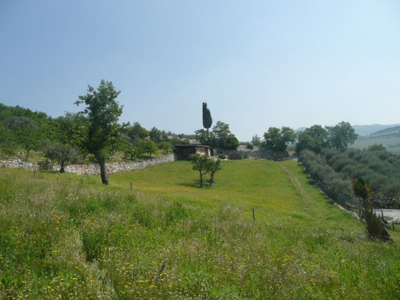 Immagine 4 di Terreno in vendita  a Tregnago