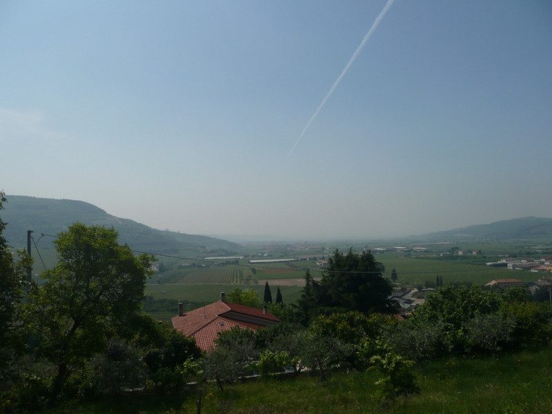 Immagine 5 di Terreno in vendita  a Tregnago