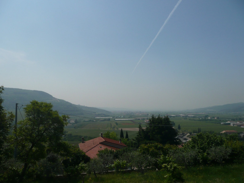 Immagine 7 di Terreno in vendita  a Tregnago