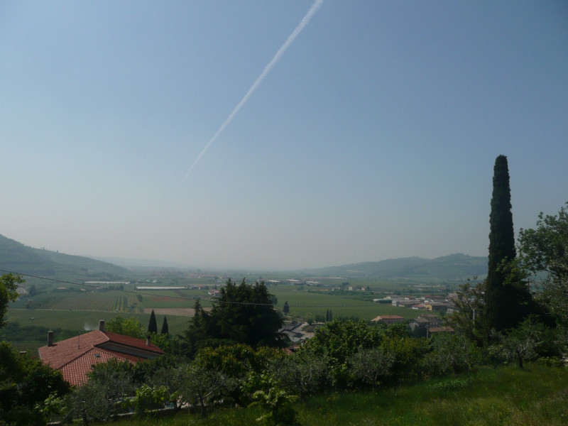 Immagine 8 di Terreno in vendita  a Tregnago