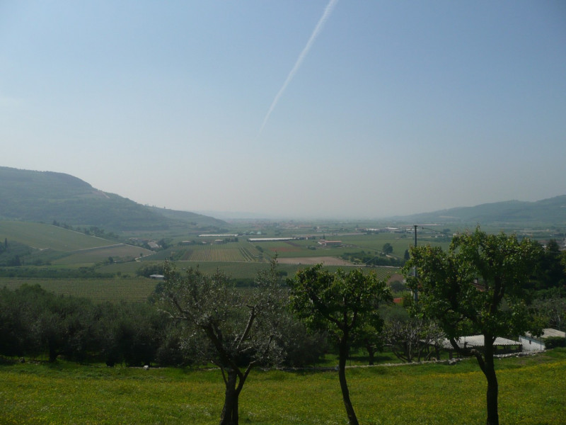 Immagine 9 di Terreno in vendita  a Tregnago