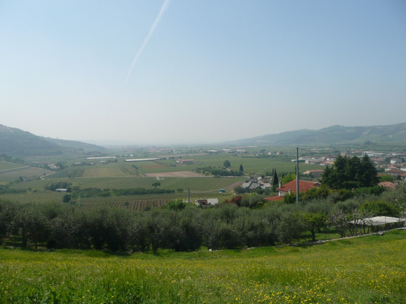 Immagine 10 di Terreno in vendita  a Tregnago