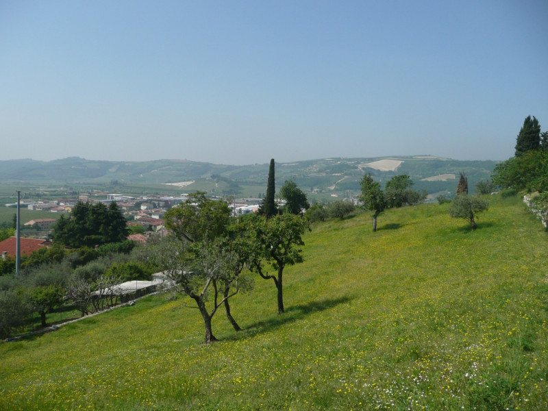 Immagine 11 di Terreno in vendita  a Tregnago
