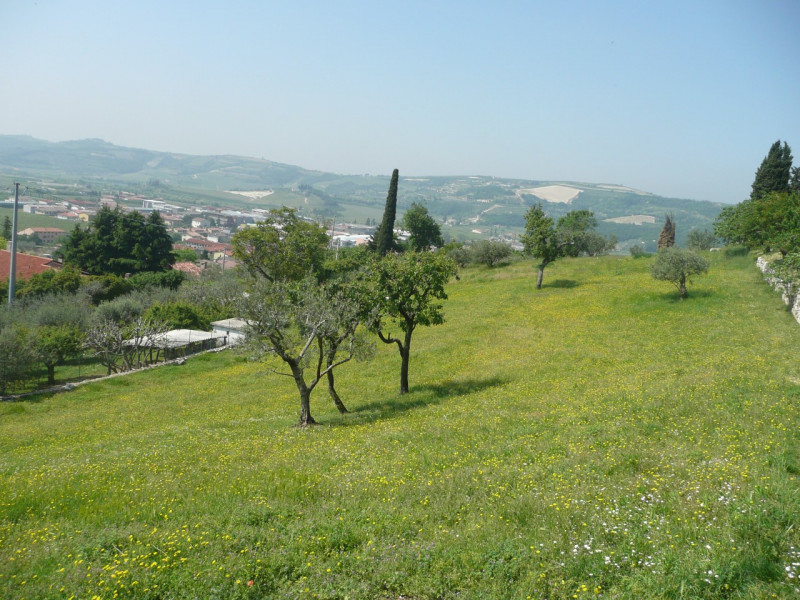 Immagine 12 di Terreno in vendita  a Tregnago