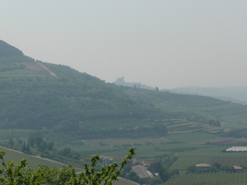 Immagine 13 di Terreno in vendita  a Tregnago