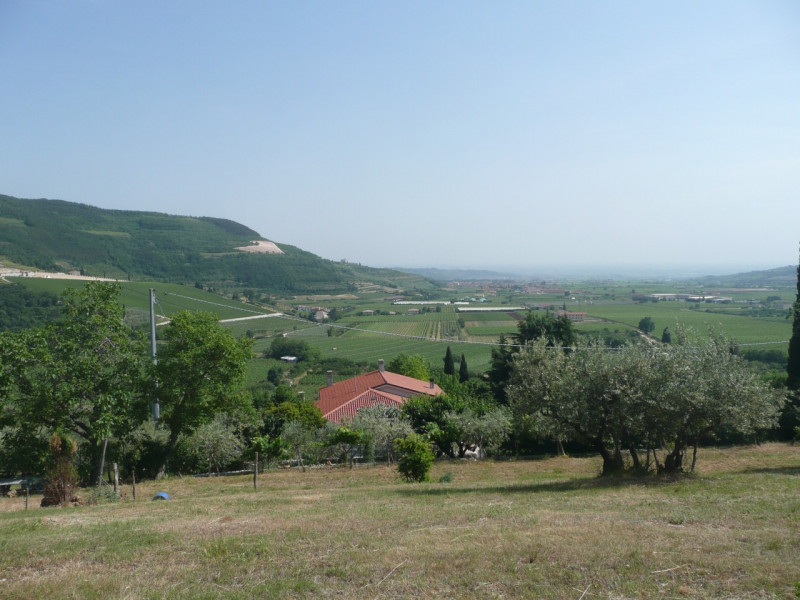 Immagine 14 di Terreno in vendita  a Tregnago