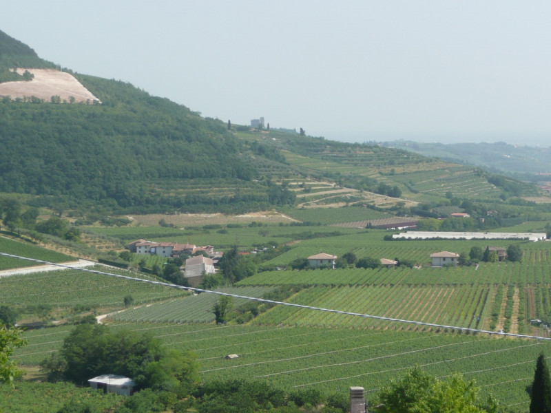 Immagine 15 di Terreno in vendita  a Tregnago